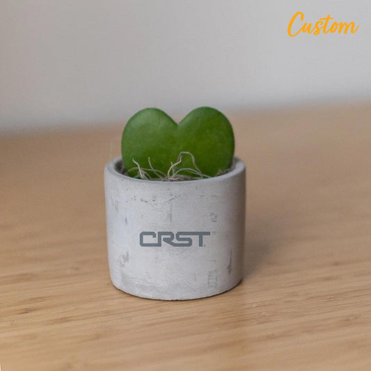 CRST Mini Parker Grey