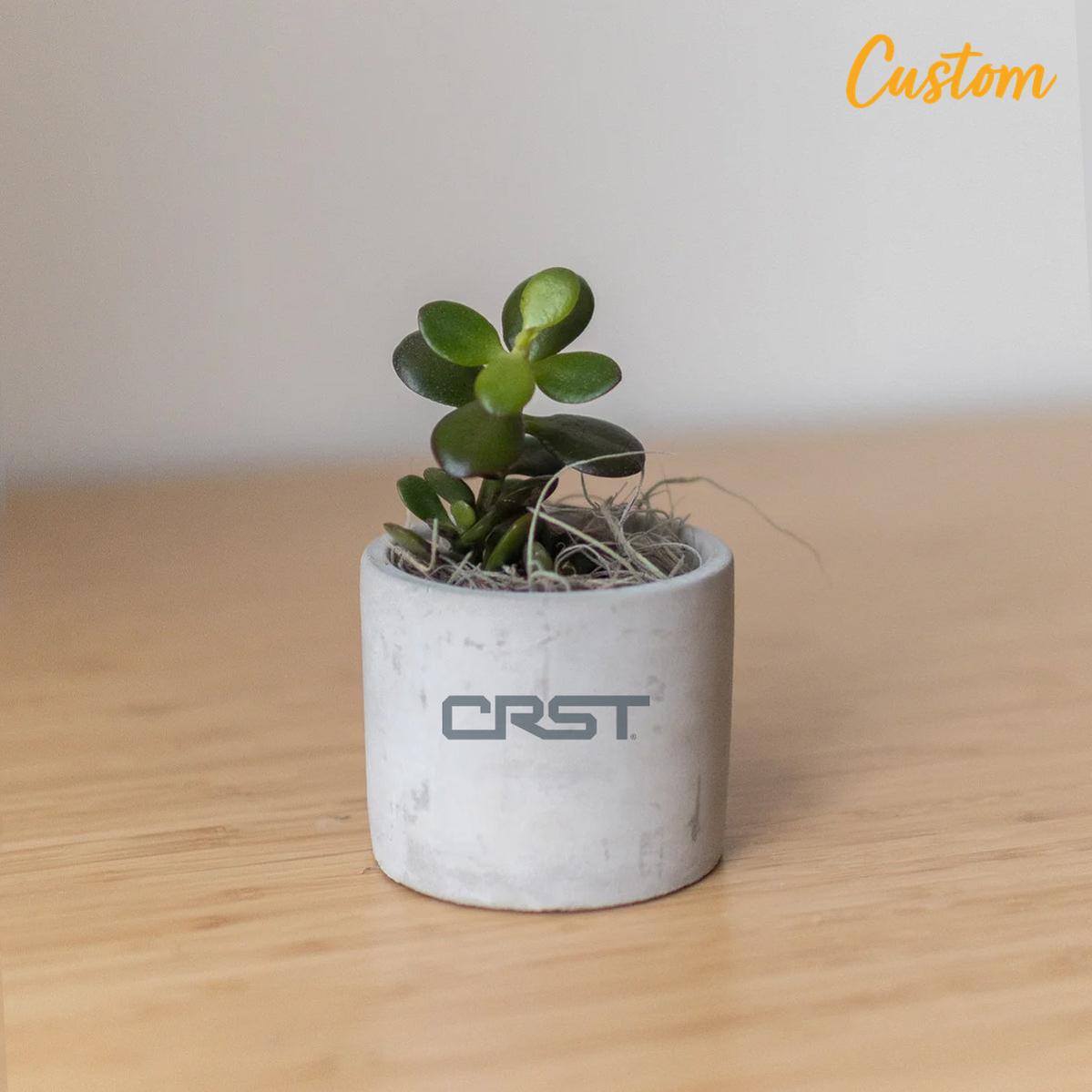 CRST Mini Parker Grey