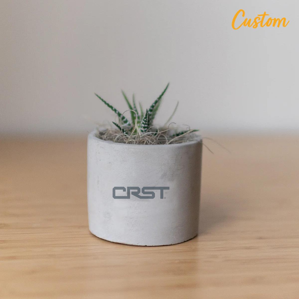 CRST Mini Parker Grey