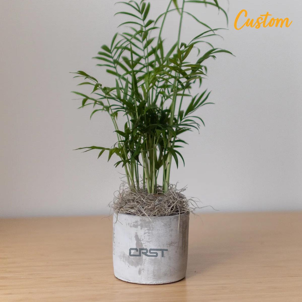 CRST Large Parker Grey