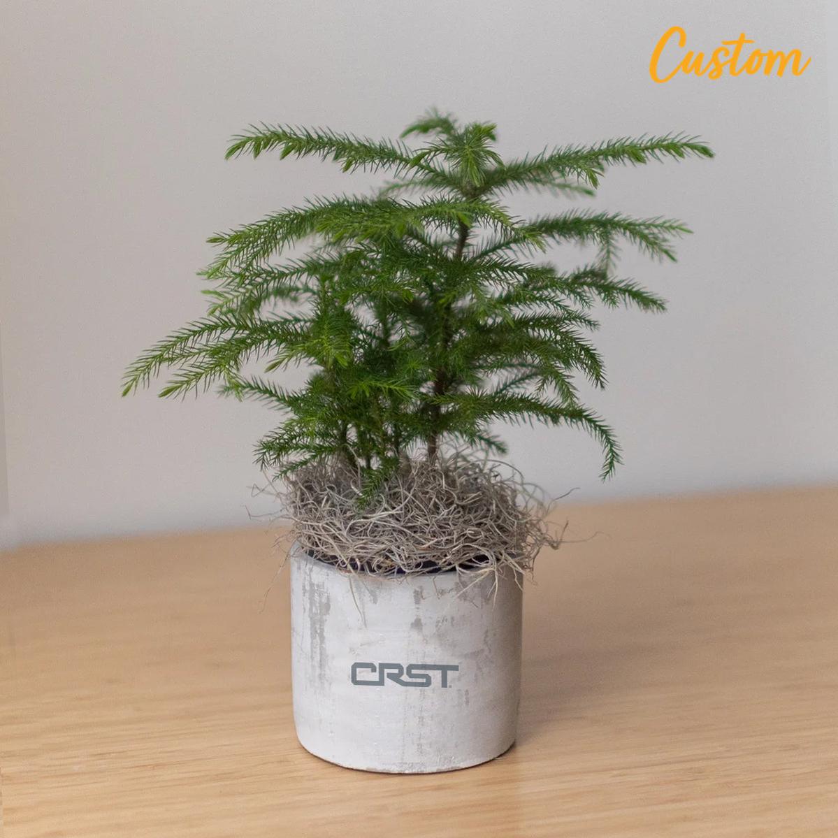 CRST Large Parker Grey