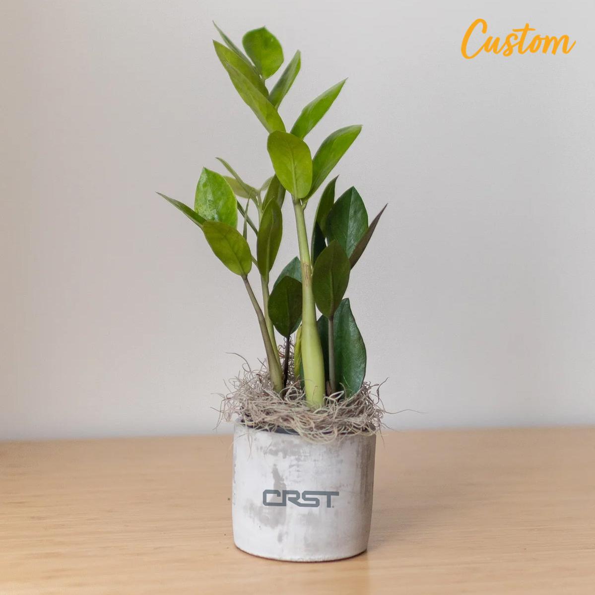 CRST Large Parker Grey